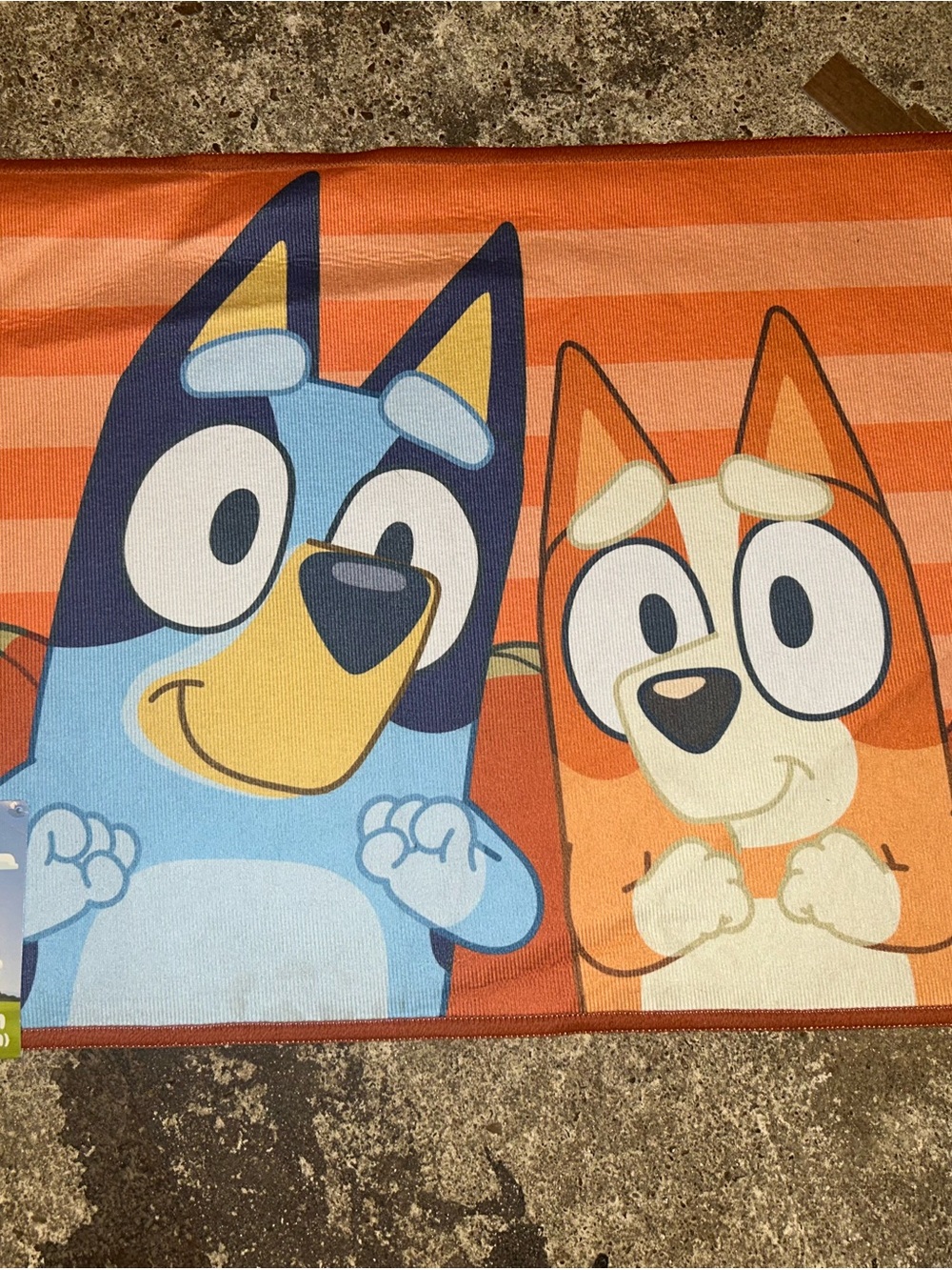 Bluey & Bingo Halloween Accent Rug
